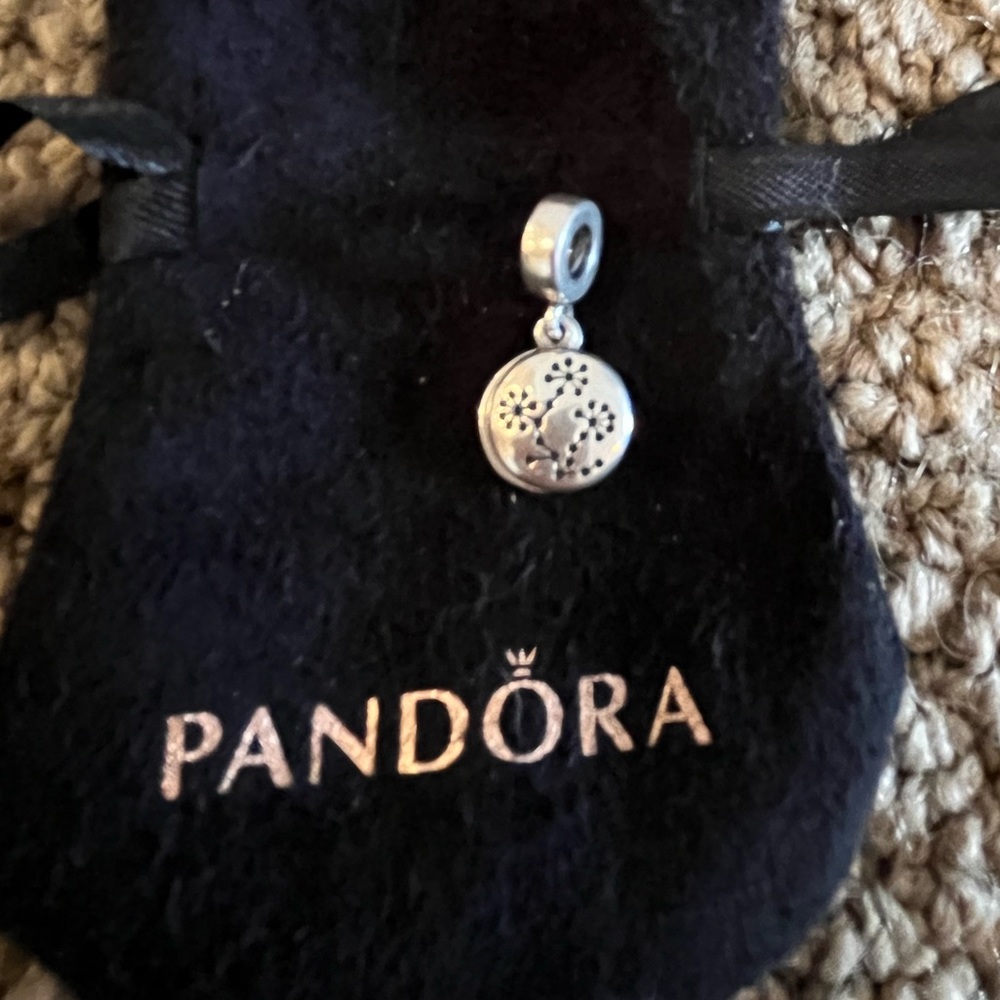 Authentic Pandora Sterling Silver Charm/ Dangle, Retired.